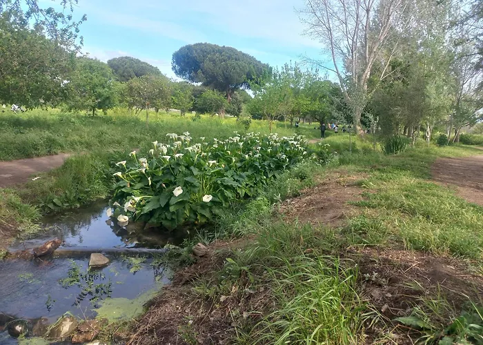 A Casa Di Mori